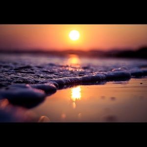 Meet your Posher, Rav